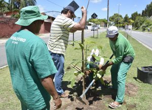 seman_plantiomudas_beirario_foto_gilbertofirmino-76